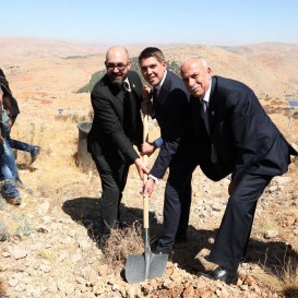 © Landratsamt Traunstein: Pflanzen der Libanon-Kiefer. 