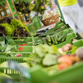 Frisch, saisonal und gschmackig – an den vielen Standln präsentieren regionale Erzeuger und Veredler beste Produkte aus dem Chiemgau. © Landratsamt Traunstein