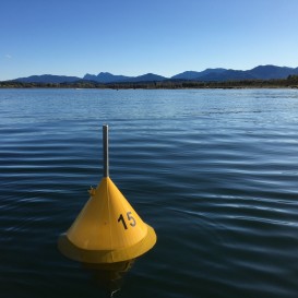 Eine der neuen gelben Winterbojen, die die Kernzone des Naturschutzgebietes „Mündung der Tiroler Achen“ kennzeichnet. ©Gebietsbetreuer Chiemsee/Landratsamt Traunstein