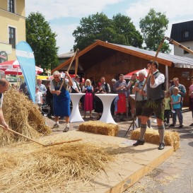 © Landratsamt Traunstein: Impressionen vom 4. Regionaltag 2018