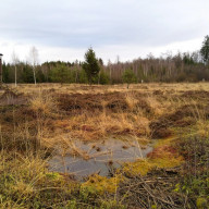 Die Renaturierung von Mooren, wie hier im Burghamer Filz, ist wichtig für Arten- und Klimaschutz.