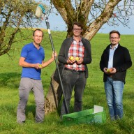 ©Landschaftspflegeverband Traunstein: Auf der Suche nach vergessenen Sorten (v.l.n.r.): Jürgen Sandner (Landschaftspflegeverband Traunstein), Sortenkundler Georg Loferer und Kreisfachberater Markus Breier. 