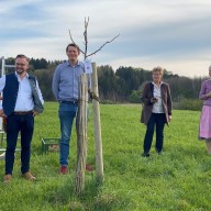 (von links nach rechts: Kreisfachberater Markus Breier, Pomologe Georg Loferer, Stellvertretende Landrätin Resi Schmidhuber, Projektmanagerin Eva Bichler-Öttl) mit dem frisch aufgepfropften Paradies-Apfel   ©Landratsamt Rosenheim