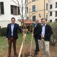 © Landratsamt Traunstein: Pflanzten vor dem Landratsamt-Dienstgebäude in der Crailsheimstraße einen Zwetschgenbaum (von links): Landrat Siegfried Walch, Hochbau-Sachgebietsleiter Martin Aschauer und Kreisfachberater Markus Breier. Der Landschaftspflegeverband Traunstein fördert die Pflanzung neuer Hochstamm-Obstbäume.